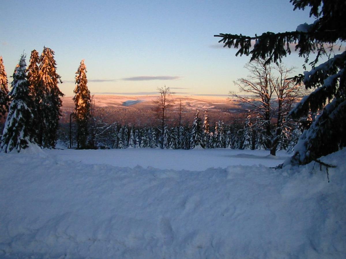 Apartmany Hotelu Ostry Železná Ruda Buitenkant foto